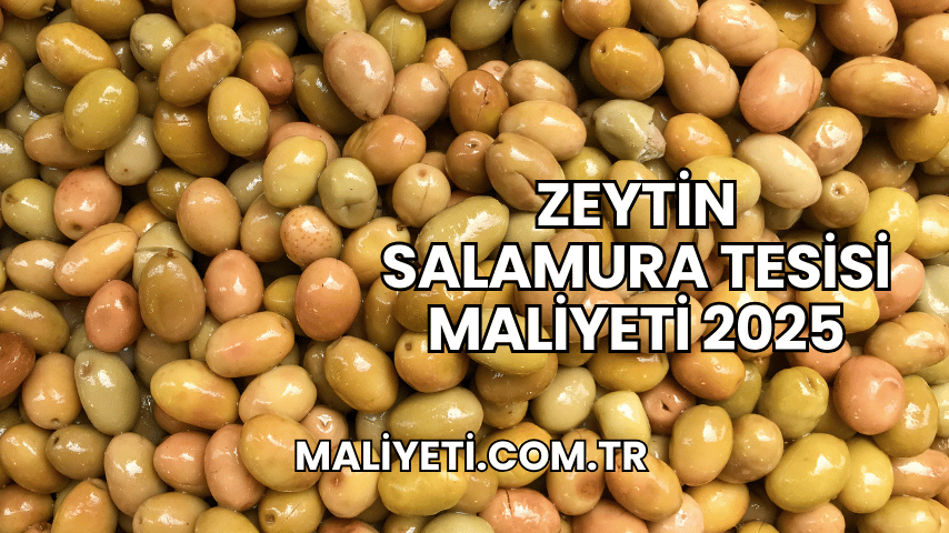 Zeytin Salamura Tesisi Maliyeti 2025