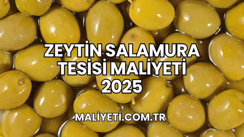 Zeytin Salamura Tesisi Maliyeti 2025