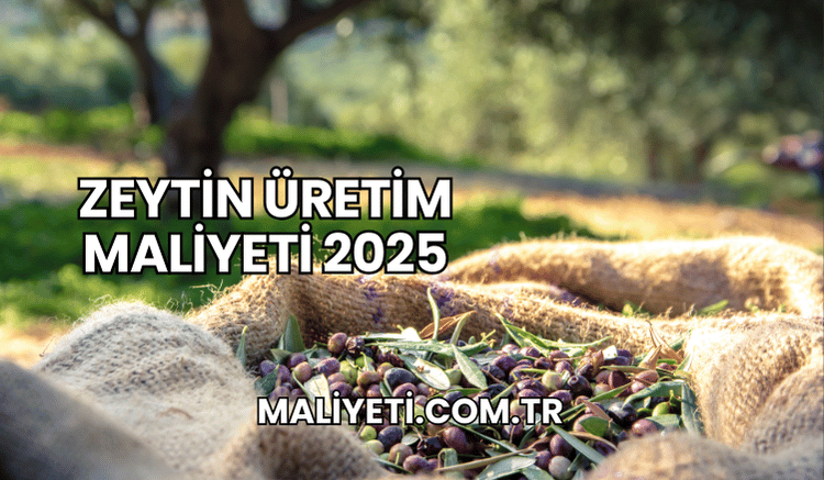 Zeytin Üretim Maliyeti 2025