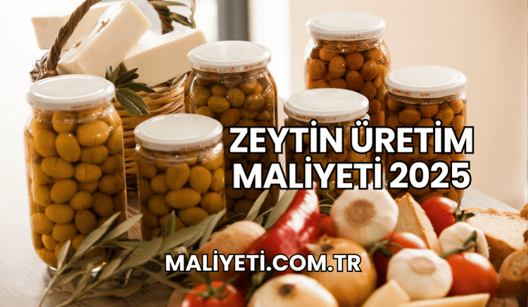 Zeytin Üretim Maliyeti 2025