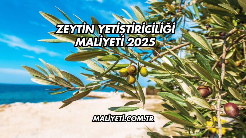 Zeytin Yetiştiriciliği Maliyeti 2025