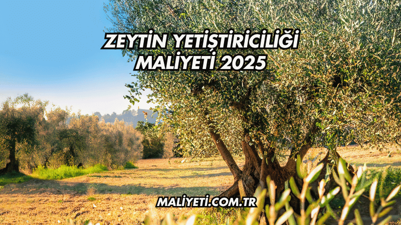 Zeytin Yetiştiriciliği Maliyeti 2025