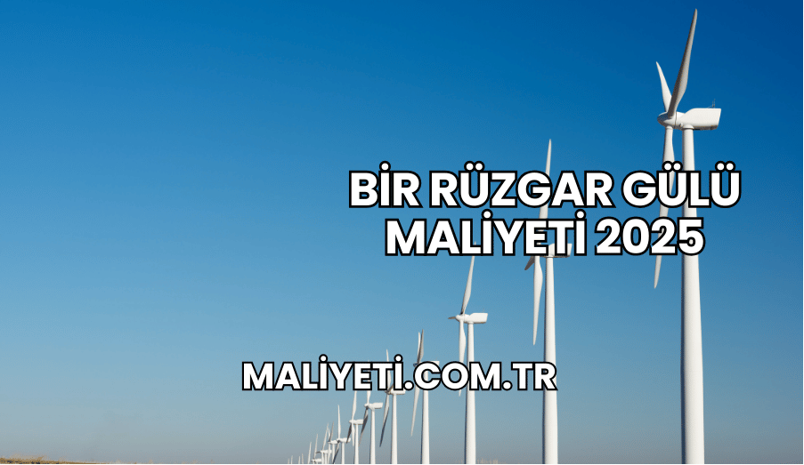 Bir Rüzgar Gülü Maliyeti 2025