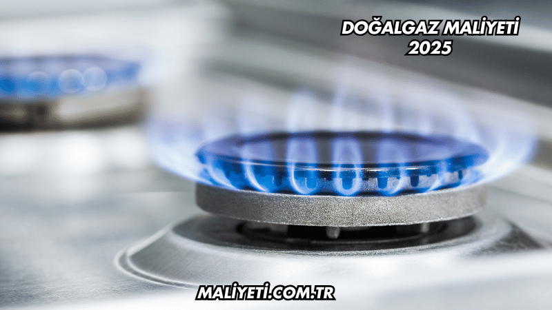 Doğalgaz Maliyeti 2025