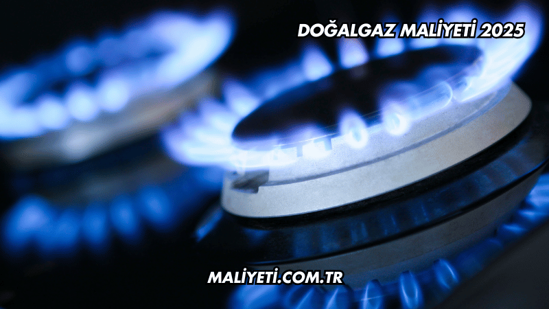 Doğalgaz Maliyeti 2025