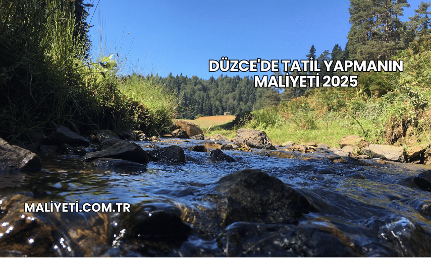 Düzce'de Tatil Yapmanın Maliyeti 2025