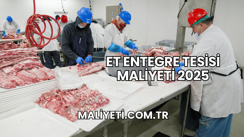 Et Entegre Tesisi Maliyeti 2025