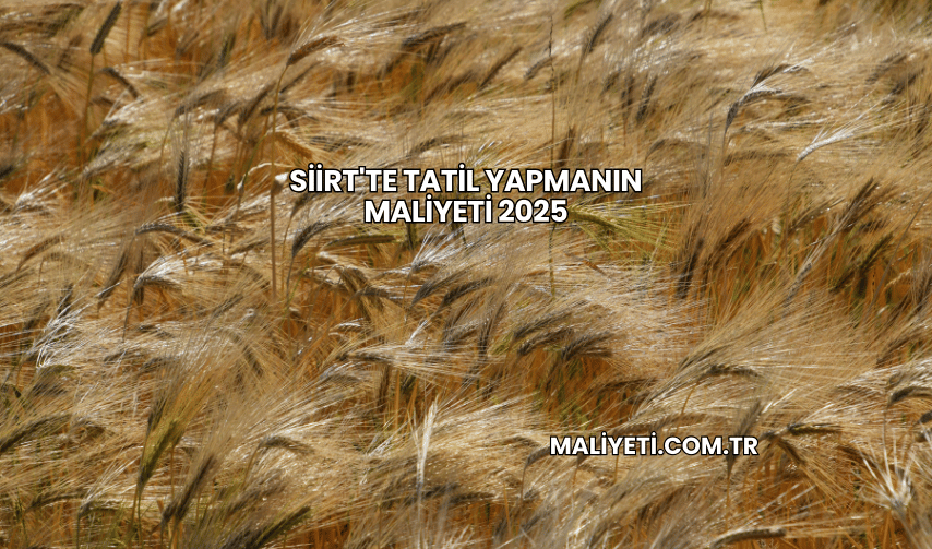 Siirt'te Tatil Yapmanın Maliyeti 2025