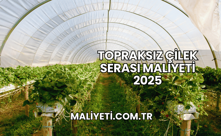 Topraksız Çilek Serası Maliyeti 2025