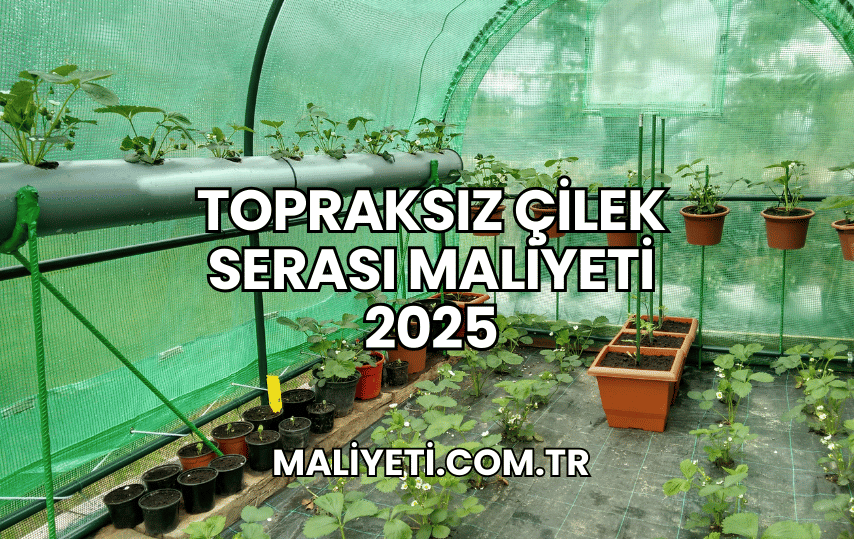 Topraksız Çilek Serası Maliyeti 2025