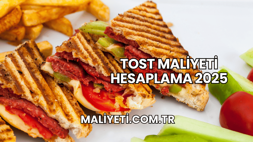 Tost Maliyeti Hesaplama 2025