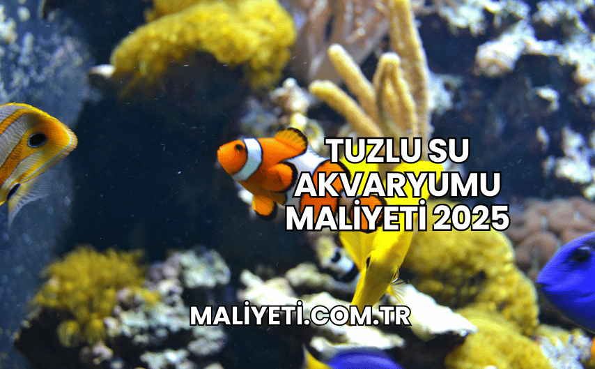 Tuzlu Su Akvaryumu Maliyeti 2025