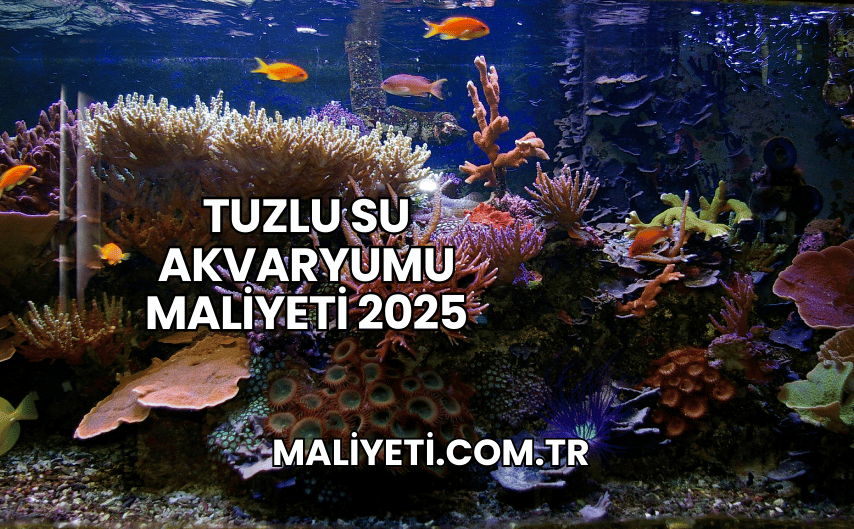 Tuzlu Su Akvaryumu Maliyeti 2025